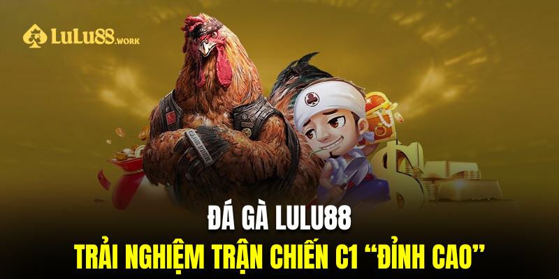 Chinh phục trận đấu C1 bùng nổ với những chiến kê đẳng cấp