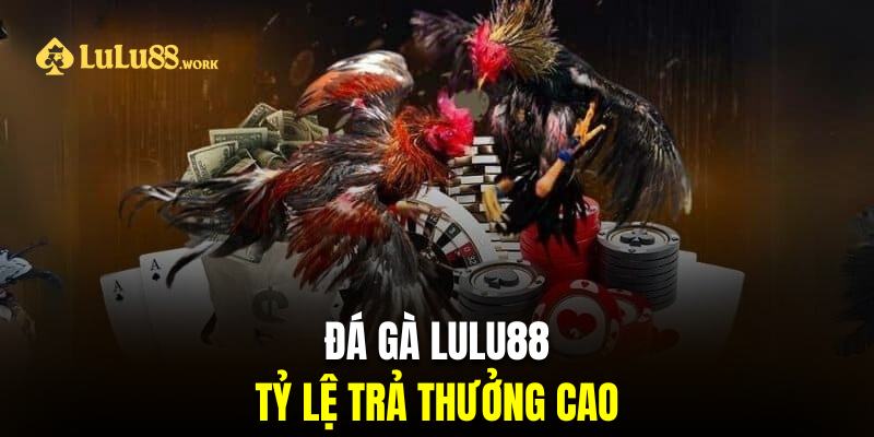 Sân chơi trả thưởng đá gà LuLu88 siêu cao