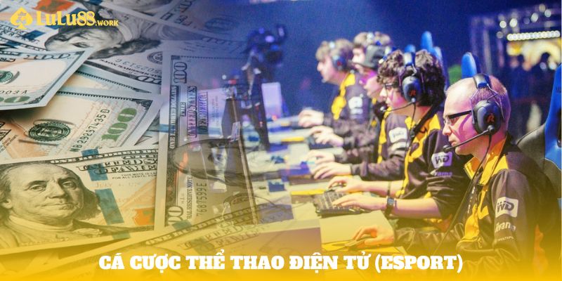 Đặt cược vào kênh thể thao điện tử (Esports)