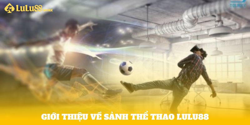 Giới thiệu về sảnh thể thao Lulu88