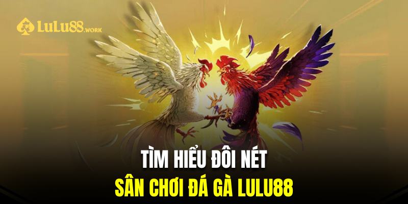 Giới thiệu sân chơi gà đá trực tuyến LuLu88